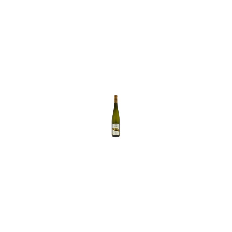 Vin blanc Riesling Puits d'Or 2023 12% 75cl