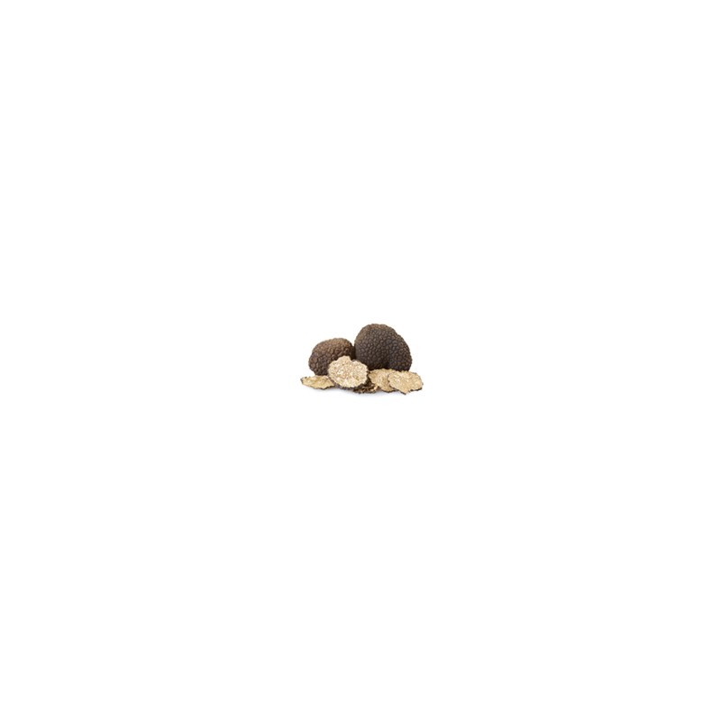 Truffe fraîche Melanosporum une à deux pièces 20g minimum