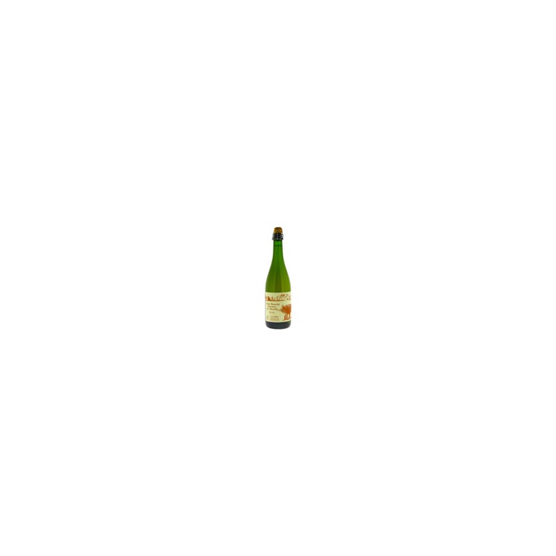 Cidre Brut 4.5° 75cl