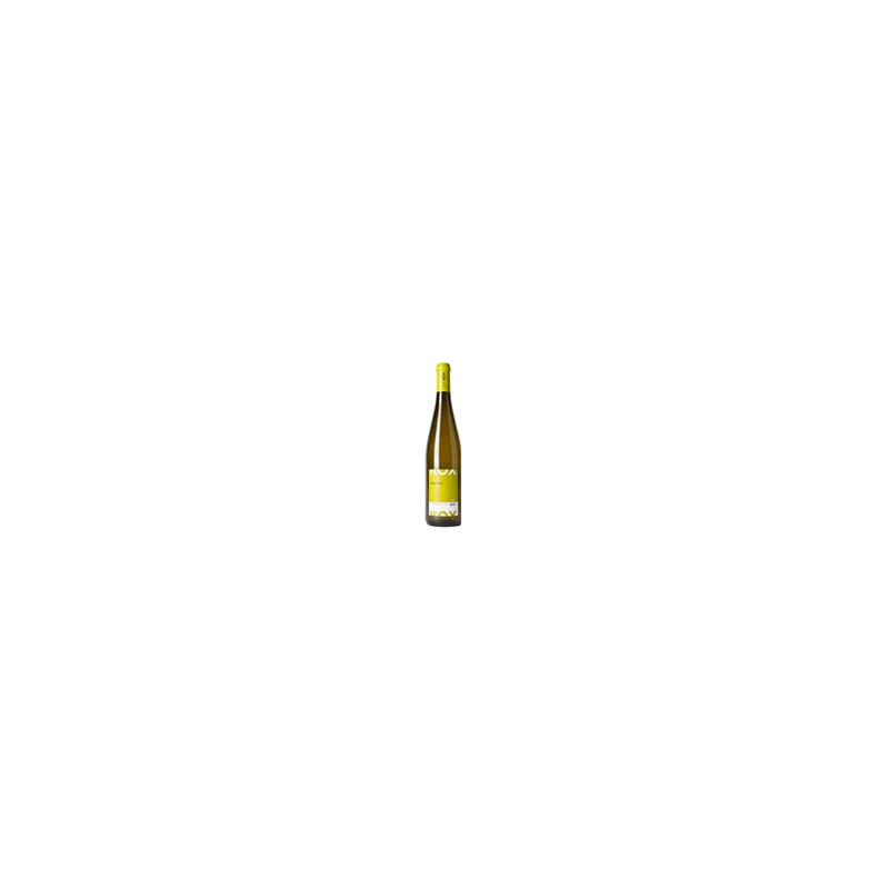 Vin blanc Pinot Gris Kox 2023 12% 75cl