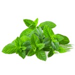 Menthe 200g