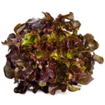 Bio Feuille de Chêne Rouge Pièce