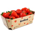 Fraises 500g