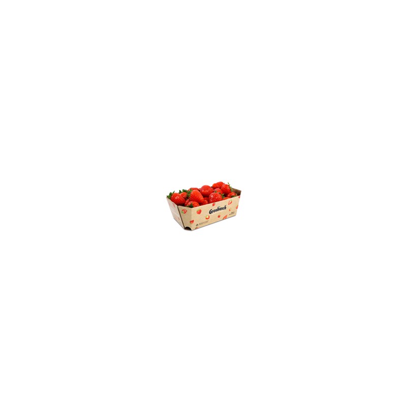 Fraises 500g