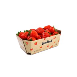 Fraises 500g