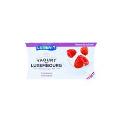 Yaourt framboise 1.5%MG 2x125g