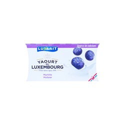 Yaourt myrtille 1.5%MG 2x125g