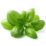 Basilic 20g