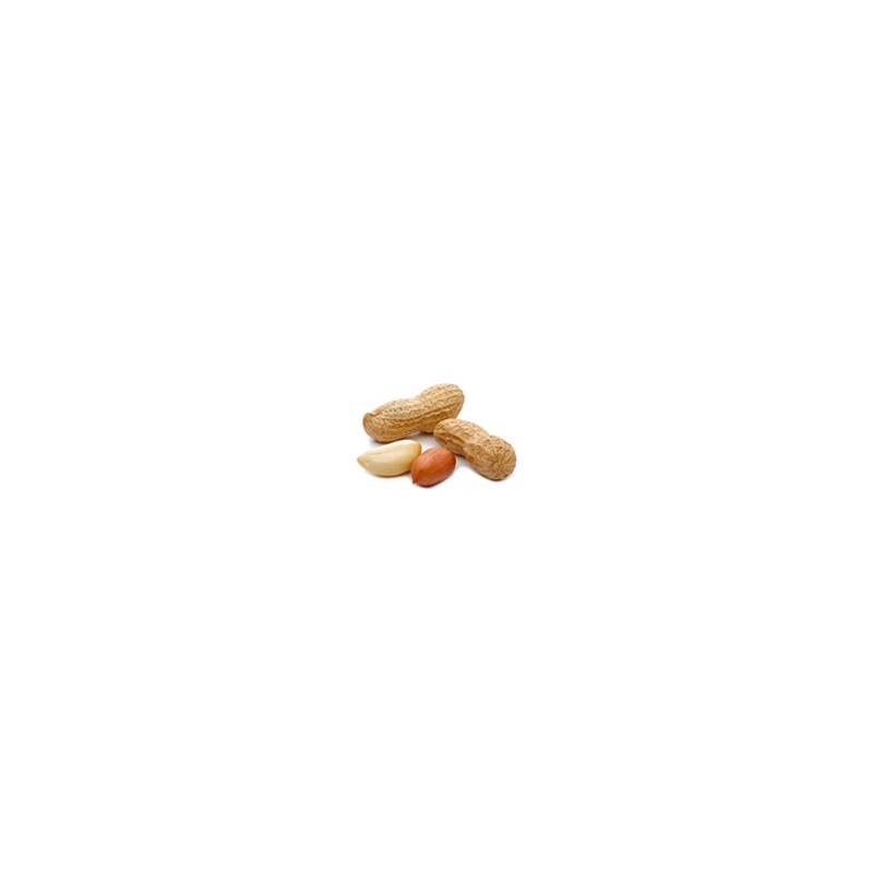 Arachides Jumbo 300g