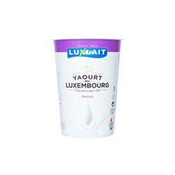 Yaourt nature 3.5%MG 500g