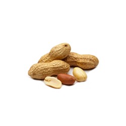 Bio Arachides Jumbo 300g