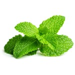 Menthe 20g