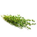 Thym 20g