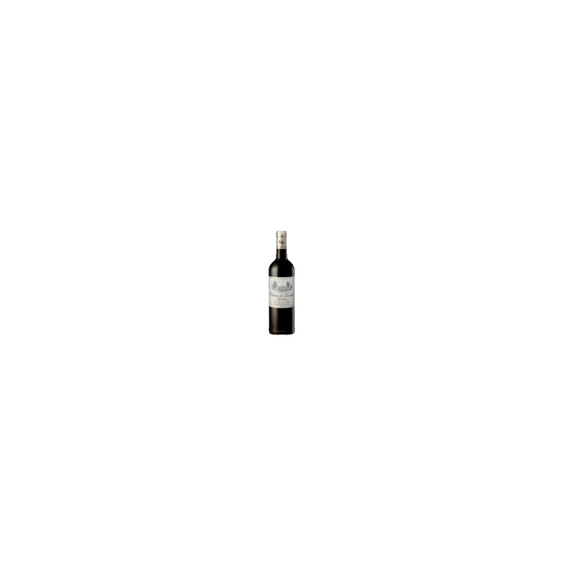 Château de Landiras Graves Rouge 2020 13% 75cl