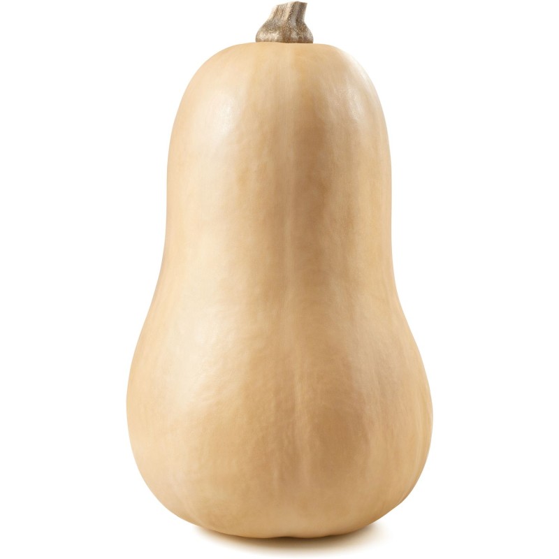 Bio Butternut Pièce