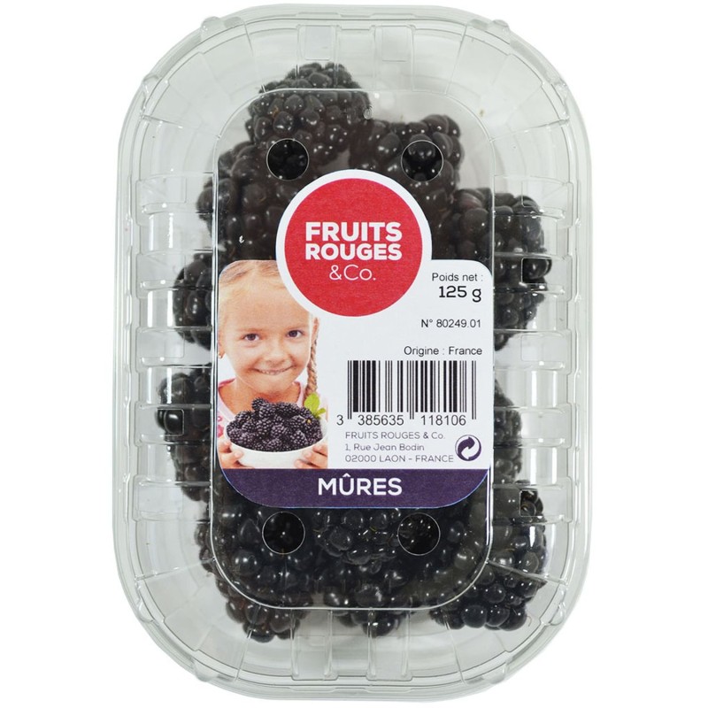 Mûres 125g