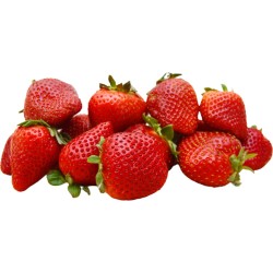 Fraises 500g