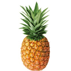 Ananas Bio Pièce