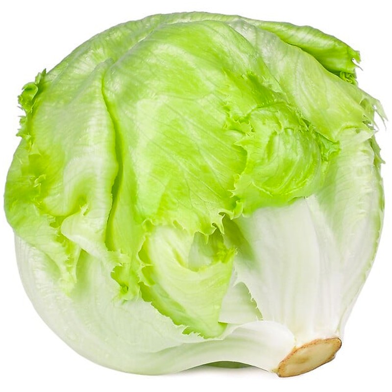 Salade Iceberg pièce