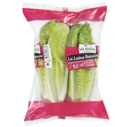 Salade Romaine x2