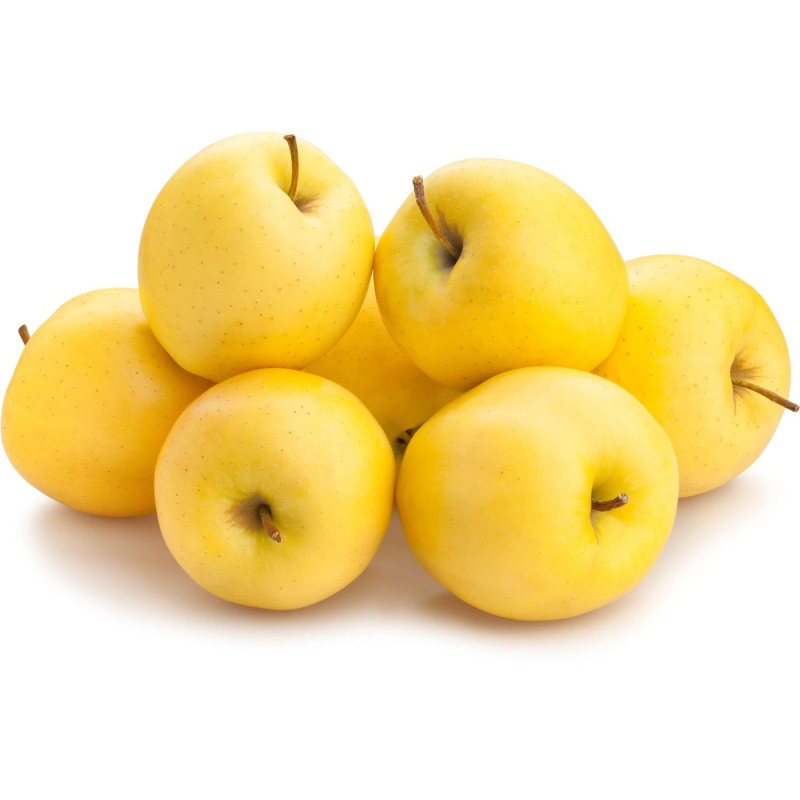 CULTIVONS LE BON Pommes Golden Label Rouge 6 Fruits