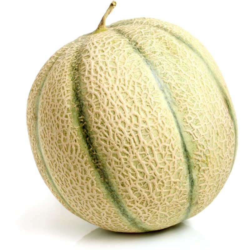 Melon charentais pièce