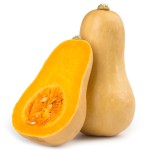 Potiron Butternut pièce