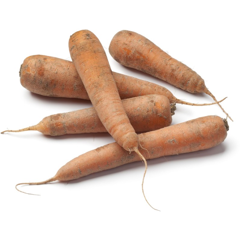 CULTIVONS LE BON Carotte des sables non lavées 1kg