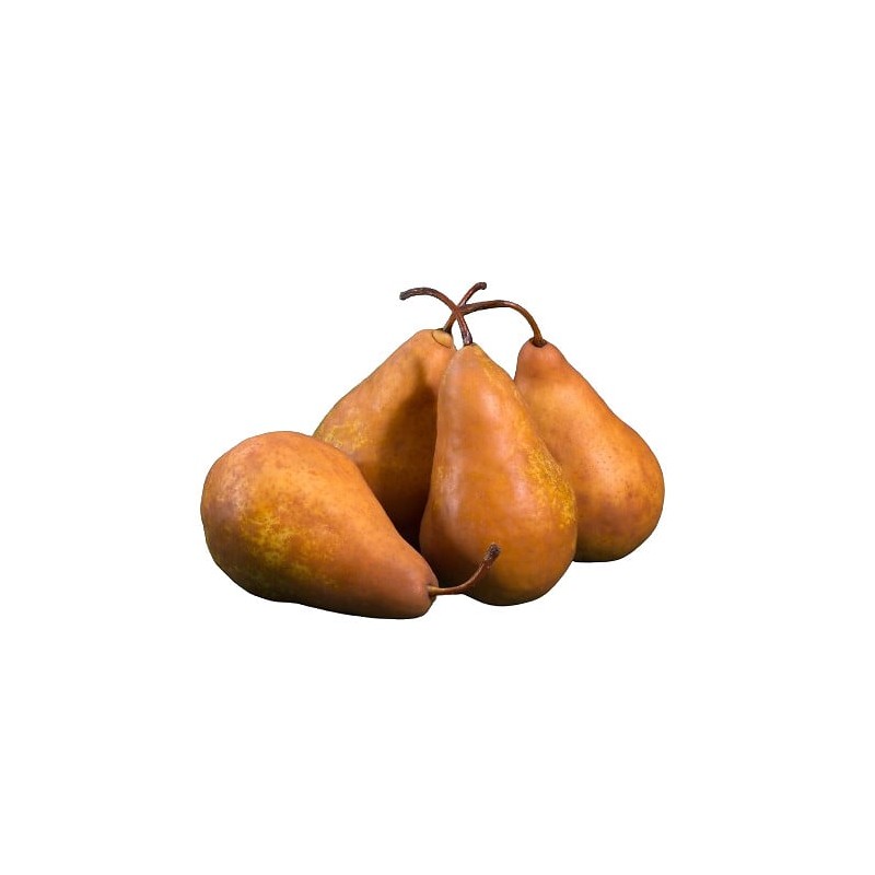 CULTIVONS LE BON Bio Poires Selena 4 Fruits