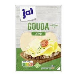 Gouda jeune 10 tranches 48%MG 400g