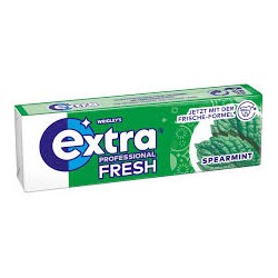 Chewing gum menthe verte sans sucre dragées x10