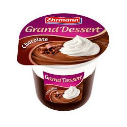Grand dessert au chocolat 190g