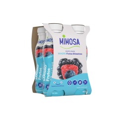 Yaourt liquide aux fruits sauvages 0% mg 4x151ml