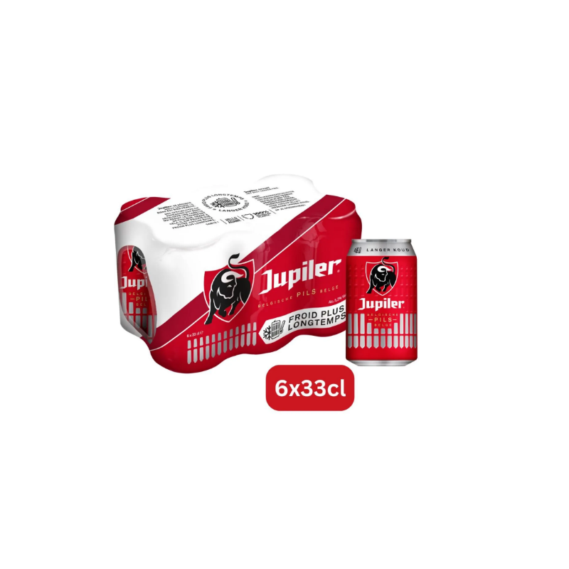 Bière blonde Pils 5.20% 6x33cl