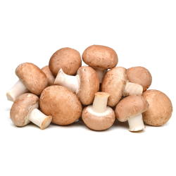 Champignon Brun 250g