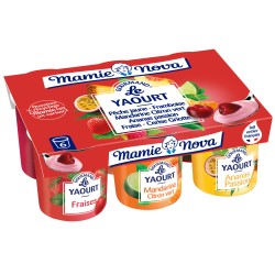 Yaourt Gourmand aux Fruits Panachés 6x150g