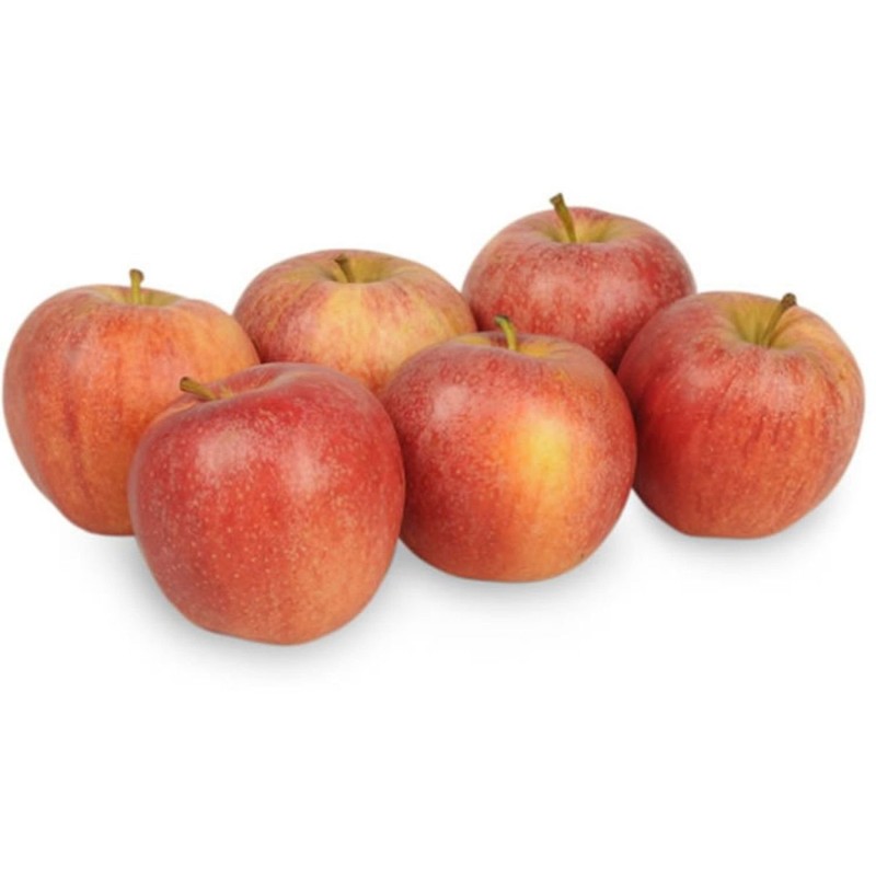 Bio Pomme Juliet 1kg