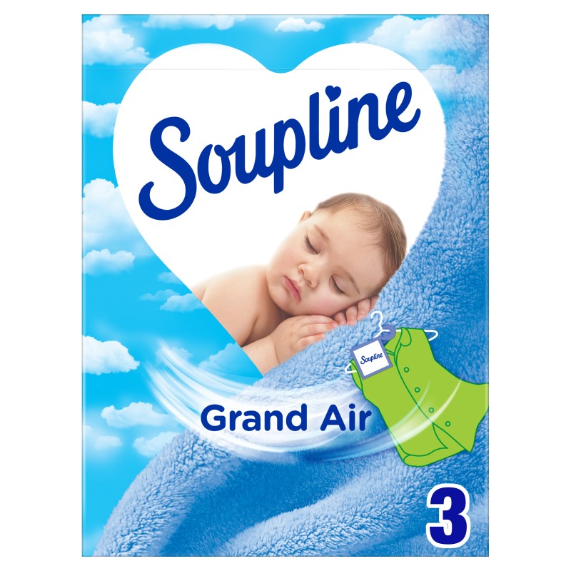Neutralisateur d'odeurs grand air pour armoire sachets x3