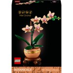 Botanique mini orchidée 10343 dès 18 ans