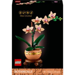 Botanique mini orchidée 10343 dès 18 ans