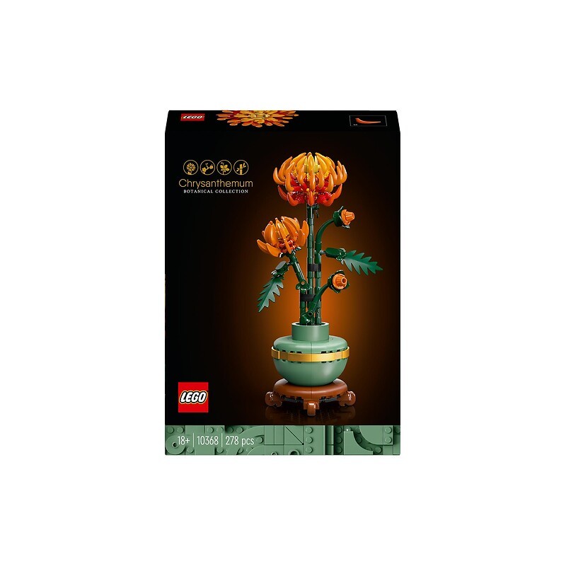 Botanique chrysanthème 10368 dès 18 ans