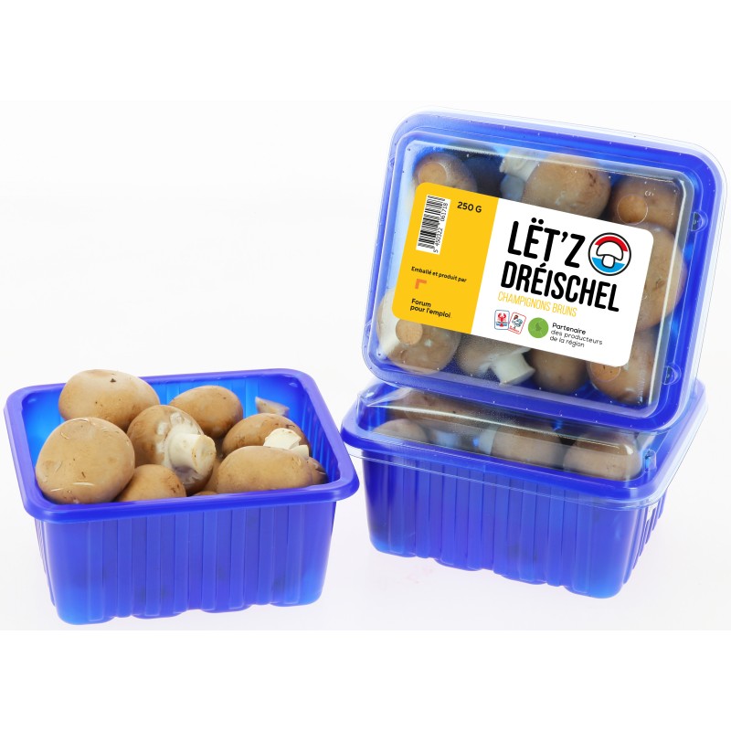 Champignon brun 250g