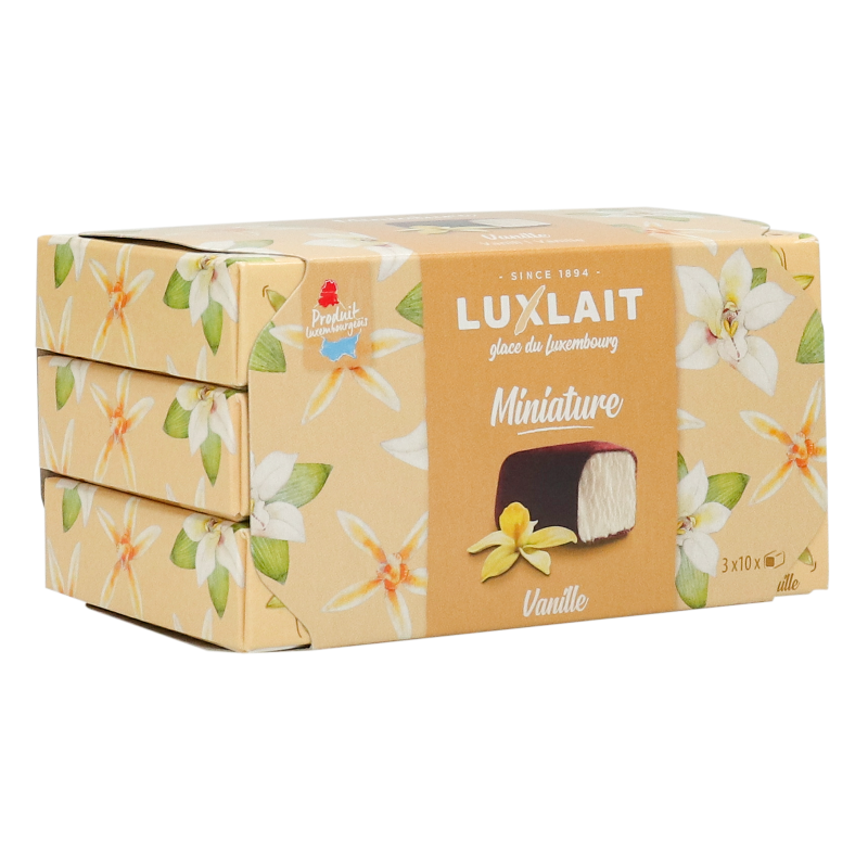 Miniature Crème Glacée Vanille 3x100g