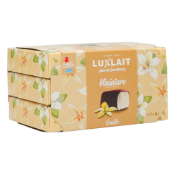 Miniature Crème Glacée Vanille 3x100g