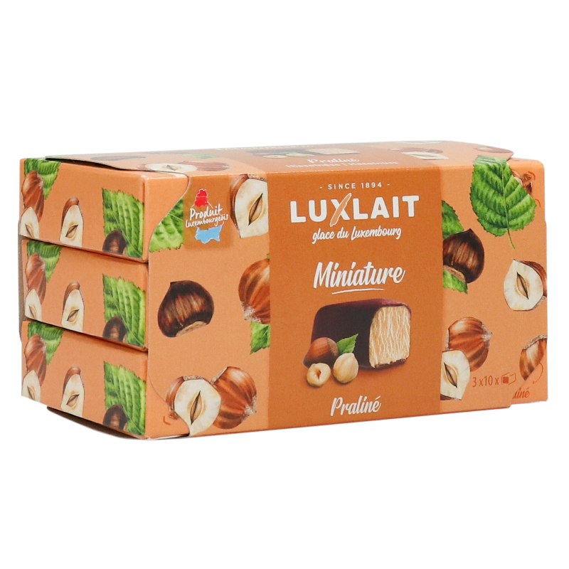 Crème Glacé Miniature Noisettes x3 384ml