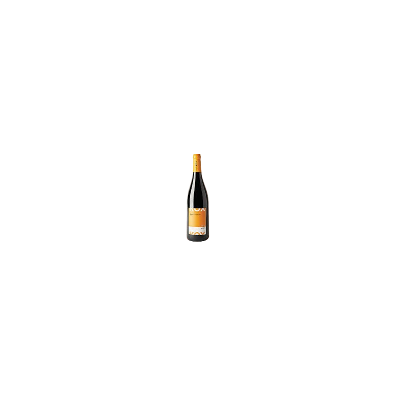 Vin rouge AOP Kox Pinot Noir sans sulfites vegan 2022 13% 75cl