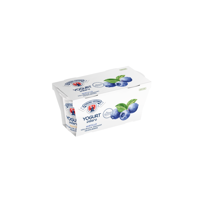 Yaourt entier myrtille sans gluten 2x125g
