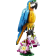 Creator 3en1 le perroquet exotique 31136
