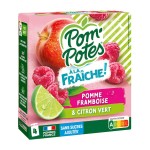 Gourdes compotes pomme framboise citron vert sans sucres ajoutés 4x90g