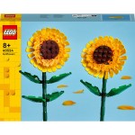 Collection Botanique Tournesols 40524